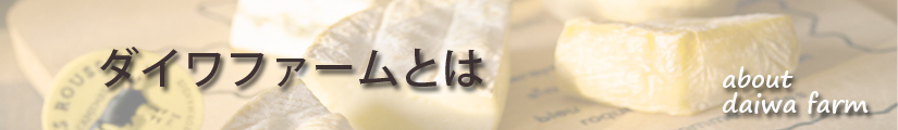 daiwa1.jpg