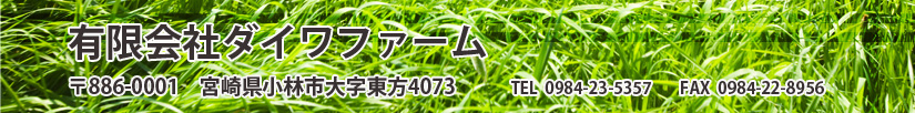 foot2.jpg